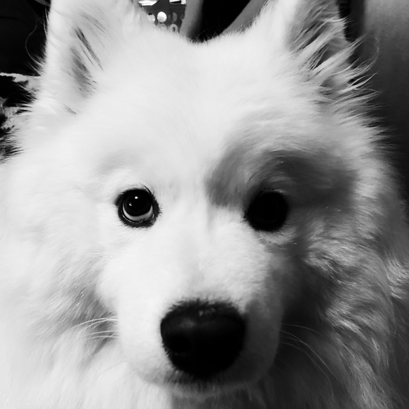 Meet your Posher, Theodora Abby - Picture 1 of 9